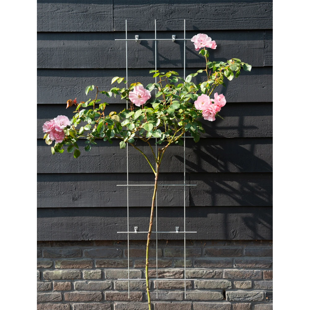 Nature - Metalen Klimrek Geplastificeerd Grijs H145x42,5cm - Afbeelding 2
