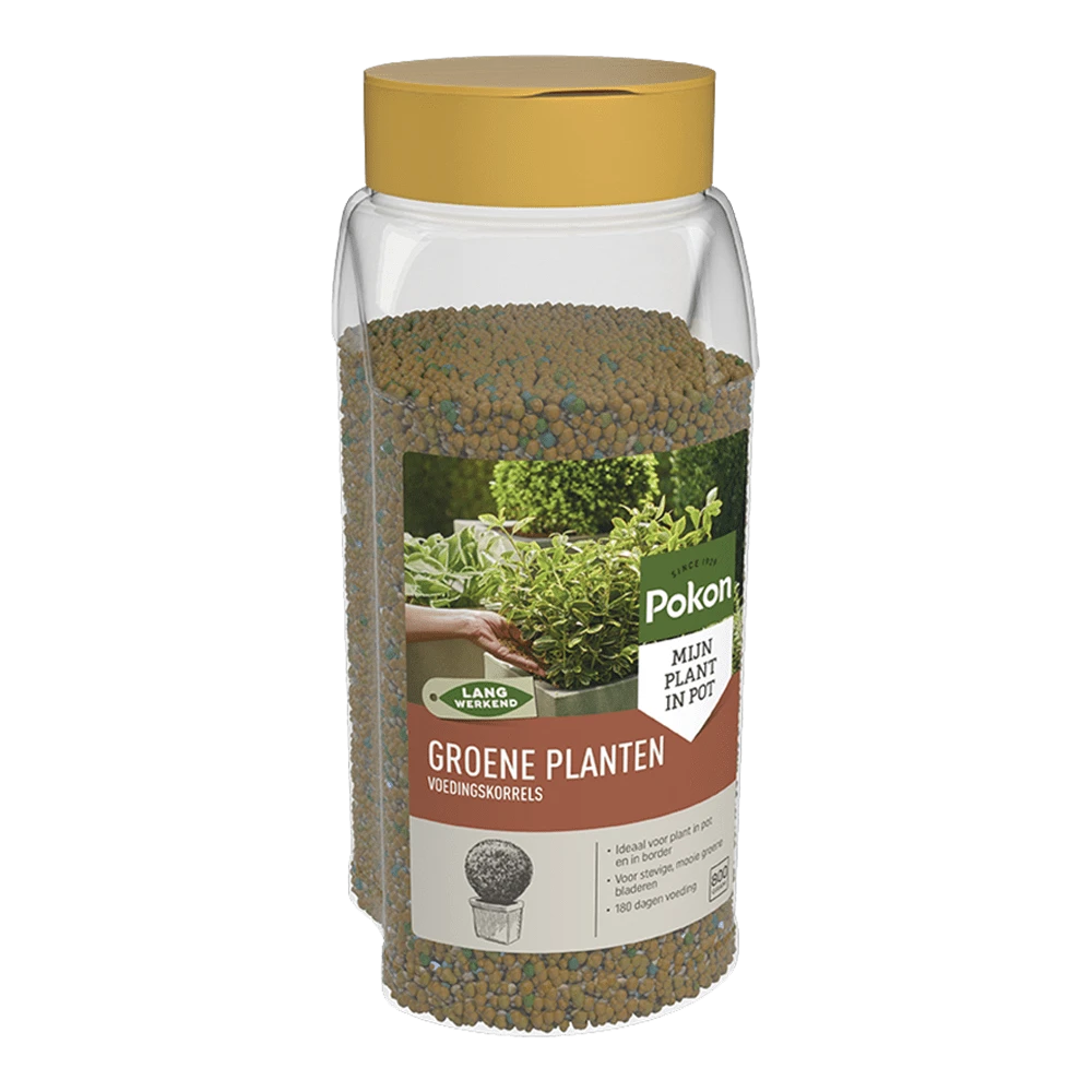 Pokon Groene Planten Voedingskorrels 800g - Kamerplanten Voeding