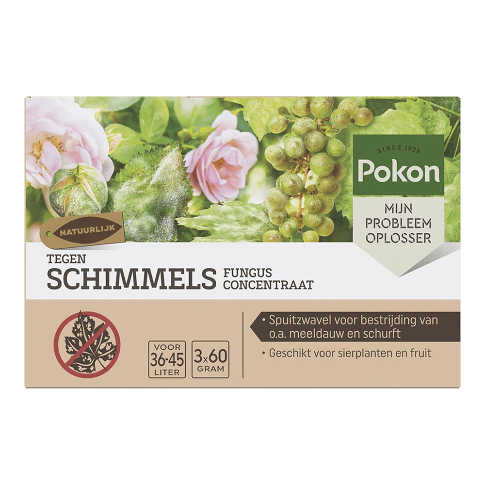 Pokon Tegen Schimmels Fungus Concentraat 180gr - Schimmels