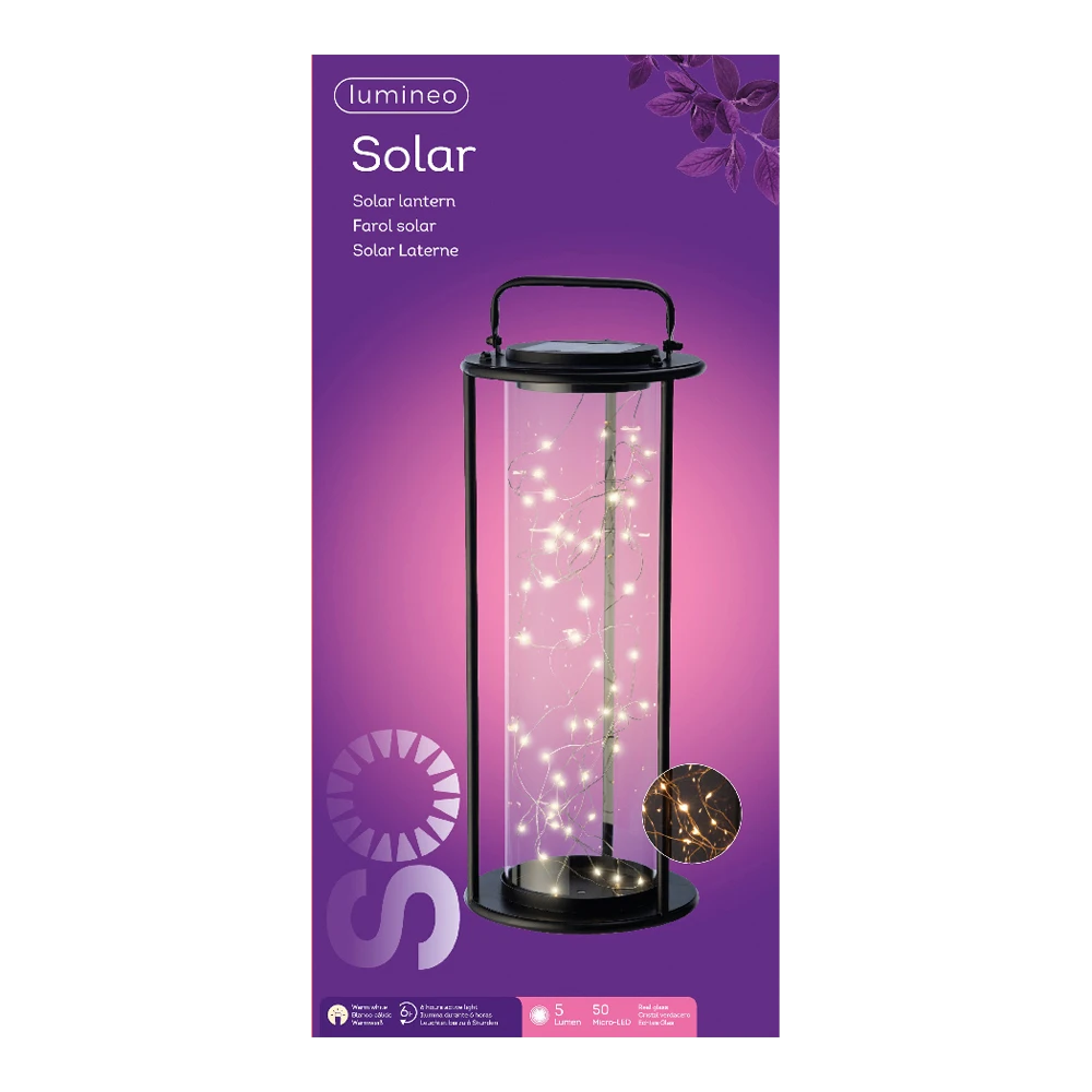 Lumineo Solar Lantaarn - LED - D20 X H49cm - Zwart