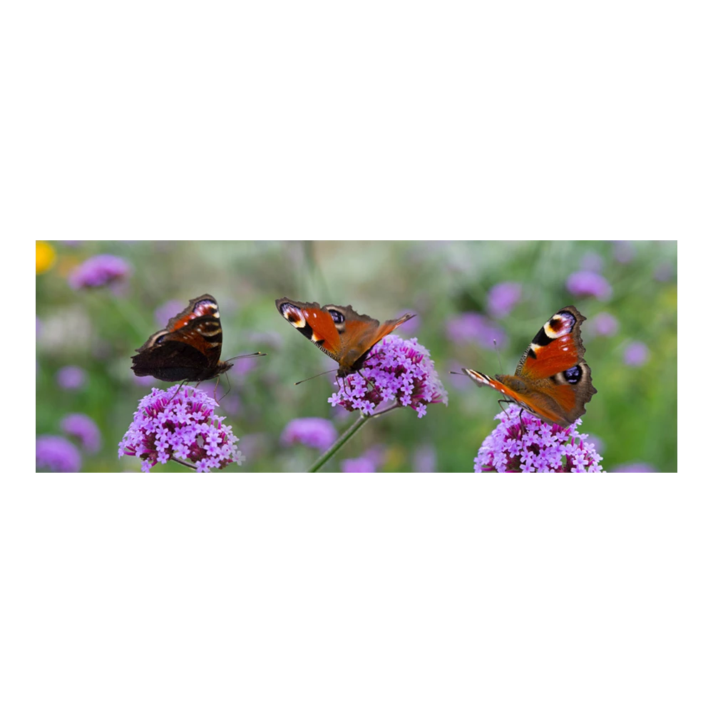 Tuinposter Vlinders - 110x45cm